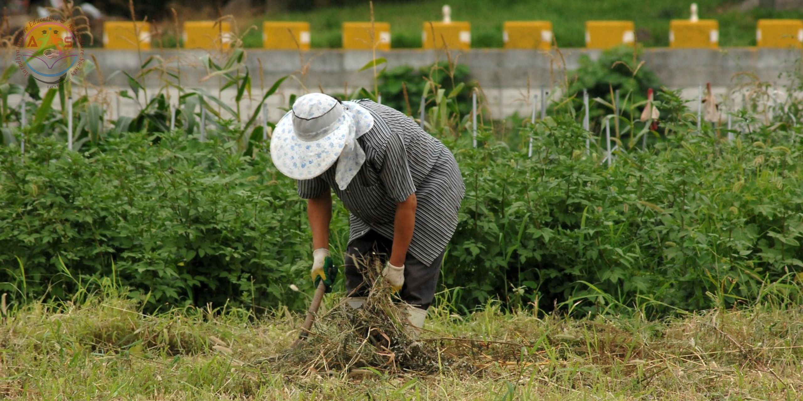 Aaradhya Foundation Farmer Empowerment Slider desktop